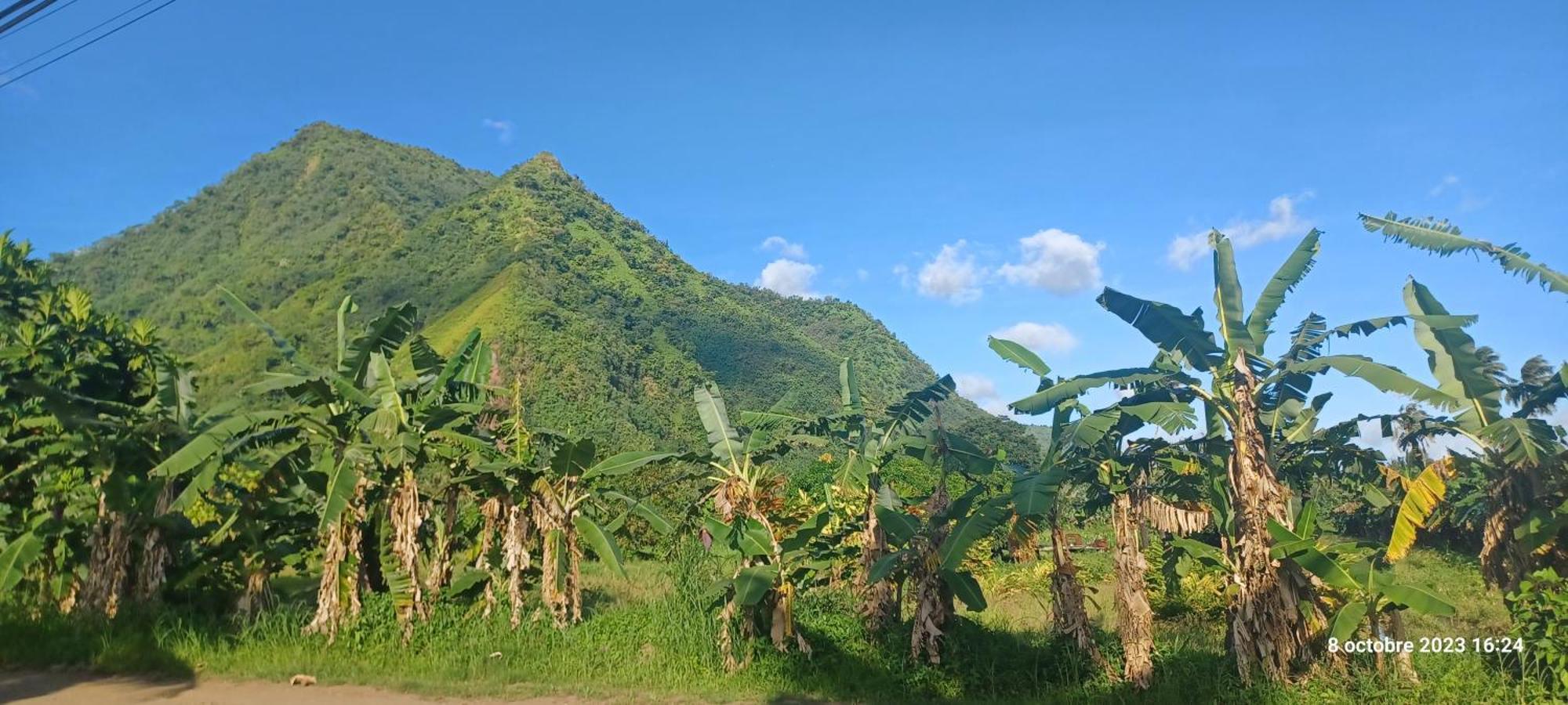 Hava'E Lodge Teahupoo Eksteriør bilde