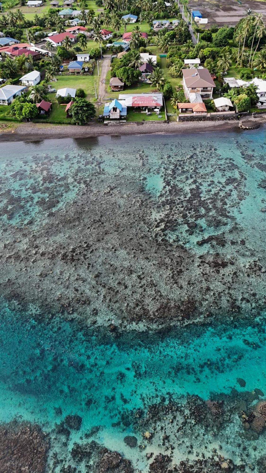 Hava'E Lodge Teahupoo Eksteriør bilde